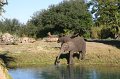 01_06_2012,085556_IMG_0127