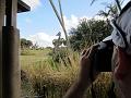 01_11_2013,124755_IMG_0037